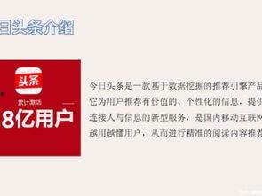 深圳金湖新闻今日头条,聚焦今日热点，洞察区域发展动态